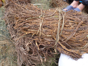 ��Ƥ_��Ƥ�Ĺ�Ч|�÷�����