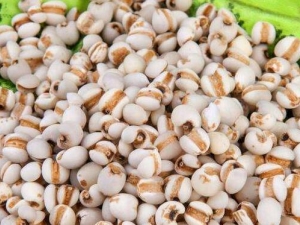 ����ˮ����ô�� ˮ�׳�ʲô��