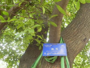 ����_���ݵĹ�Ч|�÷�����