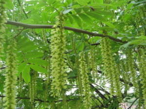 ������_�������Ĺ�Ч|��������