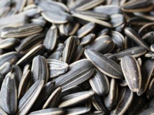 ӵӪֵ ԹΪʲôϻ ӳԶΣ