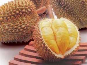 ������Ӫ����ֵ ����������ʳ����