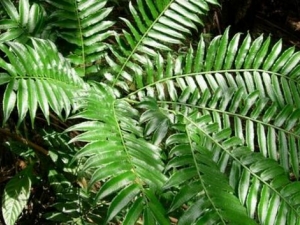 ��ü���������Ĺ�Ч������ ��ü������������С�㲻����