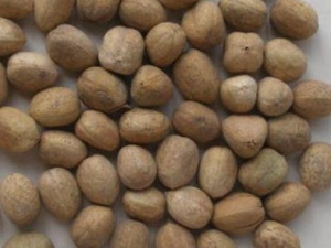 �ͻ�ɢ���� �ͻ�ɢ��Ч �ͻ�ɢ��������