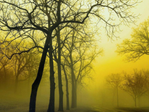 �氢��_�氢��Ĺ�Ч|�÷�����