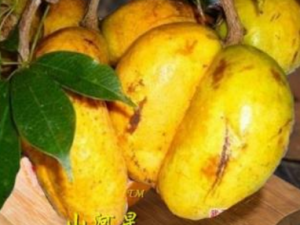 ţ�ٹ�_ţ�ٹ��Ĺ�Ч|�÷�����