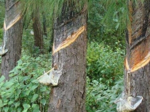 ����ɢ���� ����ɢ��Ч ����ɢ��������