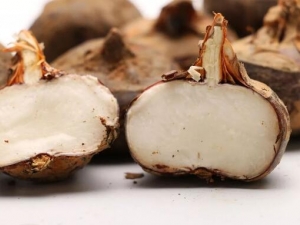 �＾�ڿ��۸ɷ�����ô�� �ڿ��۸ɺ�ʲô��