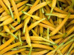 �ƻ��˵�ҩ�ü�ֵ �ƻ��˵�ʳ�ƹ�Ч