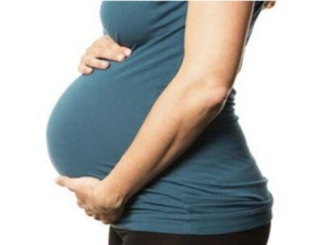 �и�Ӫ��������ԭ�� �и�Ӫ��������ʲô��