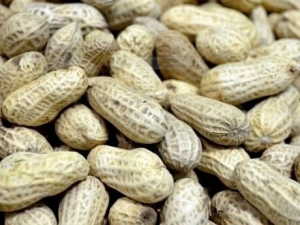 ����ʳ����������Щ ��Щ��ʳ���潡��