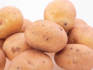 �����Ĺ�Ч���� ������������ �����ѡ����