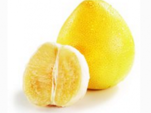 �����ӻ��ϻ��� ���׳������ϻ����»���