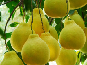 �＾��������ʲô�ô� ��������Щ��Ч