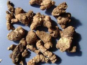 �ưز��������� �ưز�������Ч �ưز�������������