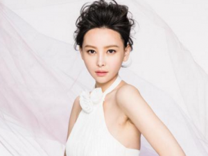 �ŵ���Ƥ��ԭ�� �ŵ���Ƥ�Ǽ����������