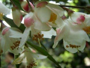 ��������_���������Ĺ�Ч|�÷�����