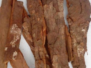 ������Ĺ�Ч������ ��������÷�����