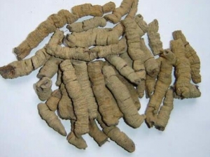 ����������� ���������Ч ���������������