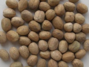 ����ദ�� ����๦Ч ������������