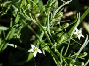 ����ݸ��Ĺ�Ч������ ����ݸ����÷�����