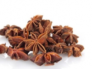 ���Բ�����ʲô�� ��������������ע������