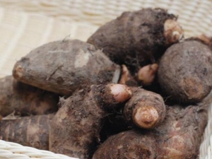 ë��ͷ�Ĺ�Ч������ ë��ͷ�и��ܳ���