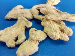 ��Ƣ�账�� ��Ƣ�蹦Ч ��Ƣ���������