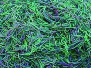 ����˵Ĺ�Ч������ ����˿���ֹ��