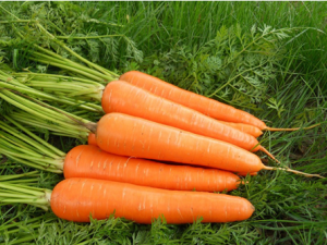 Ŷõʳʲô ŶʳﻹЩ