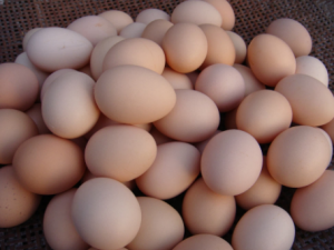 �����ѡ���ʵļ��� ��ô�жϼ����ĺû�