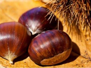 ��ʲô���غ��� ������ô�� �����������