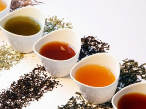 ����ҽ���ʲ�������� ��ҽ������μ���