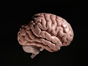 ΪʲôԽ��Խ����˵����� ��������ԭ��