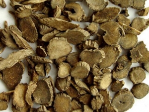 ��ţϥ�Ĺ�Ч������ ��ţϥ���÷�����