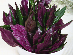 ����Ѱ��������鷽