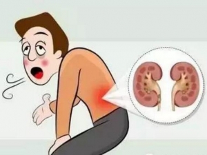 ��η������������ �������ߵ���ʳԭ��