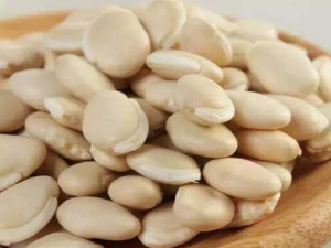 �ױⶹ�Ĺ�Ч������ �ױⶹ������Ӧ��