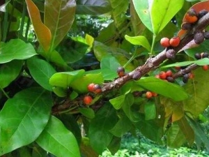 ������ݵĹ�Ч������ ������ݵĸ���