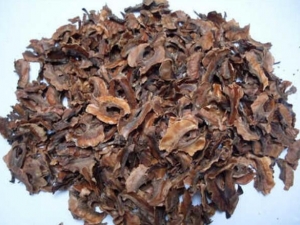 ����Ͳ�Ĺ�Ч������ ����Ͳ���÷�����