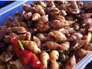 ������Ӫ����ֵ �����Ĺ�Ч������