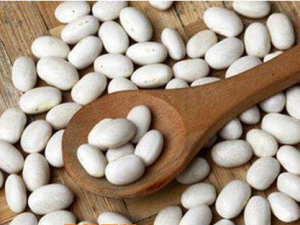 �׶�ˮ�Ĺ�Ч������ �׶�ˮ�ܿ���������