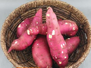 ����������ʳ�÷����͹�Ч