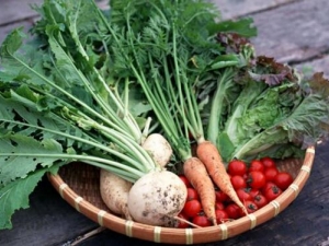 ��ô���߲����ж� �߲˵Ĳ����Է�����Щ