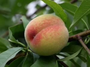 ����������Щ���� ʲô�˲��ܳ�����