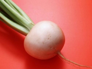 ��Ҷ�ܲ���Ӫ����ֵ ��Ҷ�ܲ���ʳ�÷���