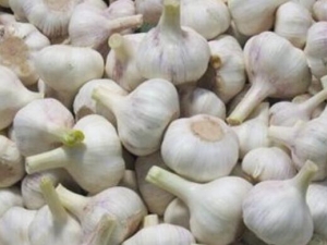 ����ζ�ɢ���� ����ζ�ɢ��Ч ����ζ�ɢ��������