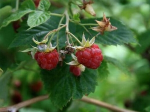 ��ҳ�����ӵĹ�Ч������ ��ҳ�����ӵ��÷�����