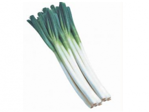 �������Щ��Ч ������е��ߴ�Ч