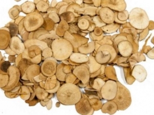 Ů�������账�� Ů�������蹦Ч Ů���������������